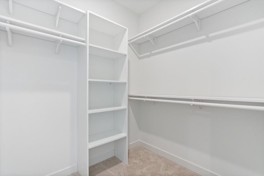 Built-in closet system with adjustable shelving, multiple hanging rods, and light-colored carpeting Built-in closet system with adjustable shelving, multiple hanging rods, and light-colored carpeting