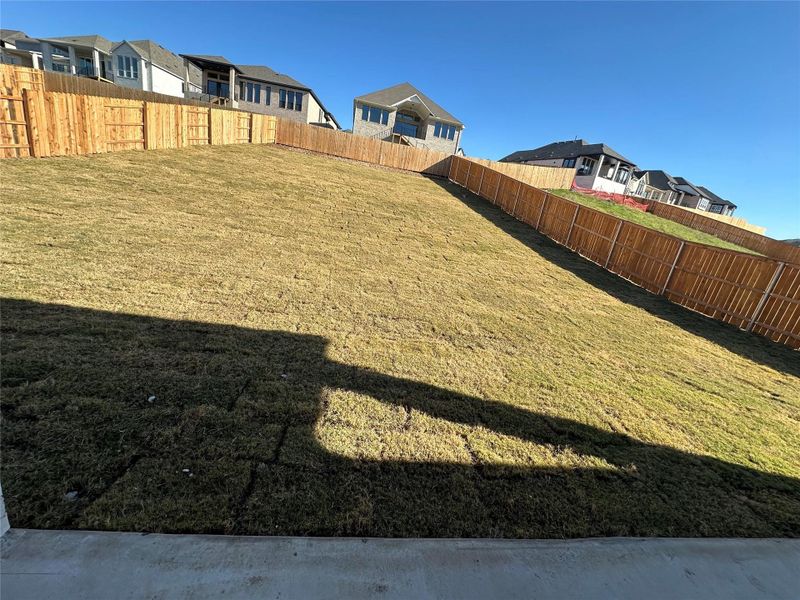 Private Backyard of Home