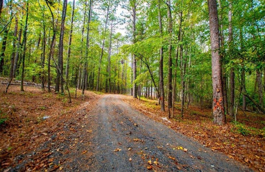 Natural landscape and outdoor views near  in Newnan (Image 69).