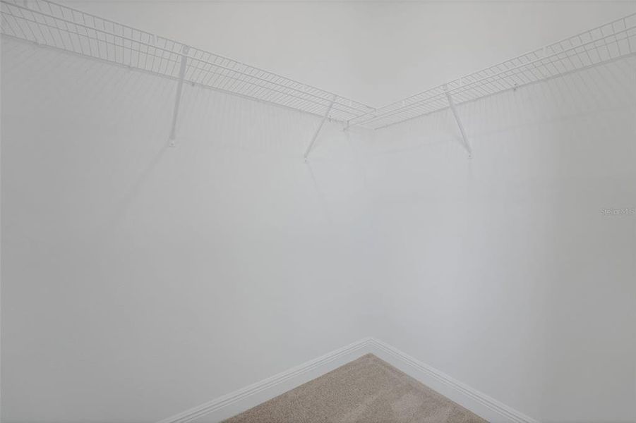 Spacious, unfurnished interior of a new home in Palms at Windermere, Windermere (Image 43).