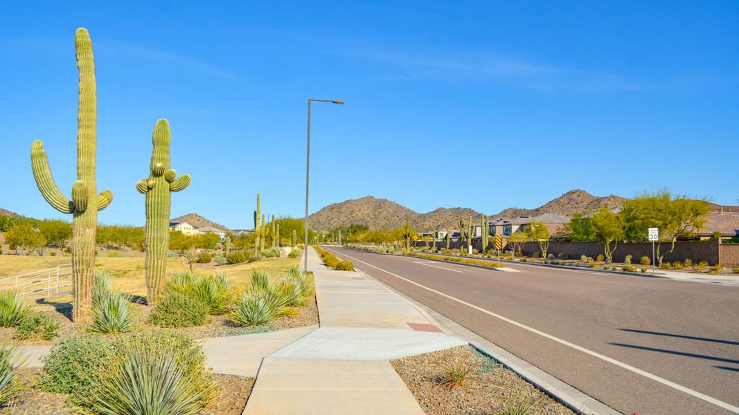 Community amenities associated with the Amherst by D.R. Horton in Aloravita, Peoria (Image 26).