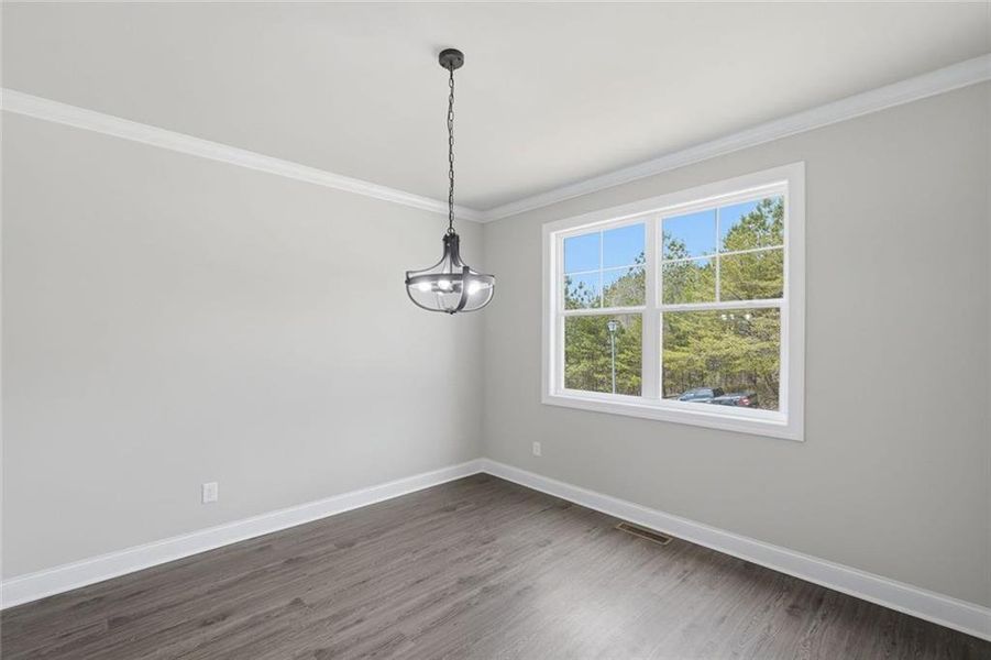 Spacious, unfurnished interior of a new home in , Dawsonville (Image 55).