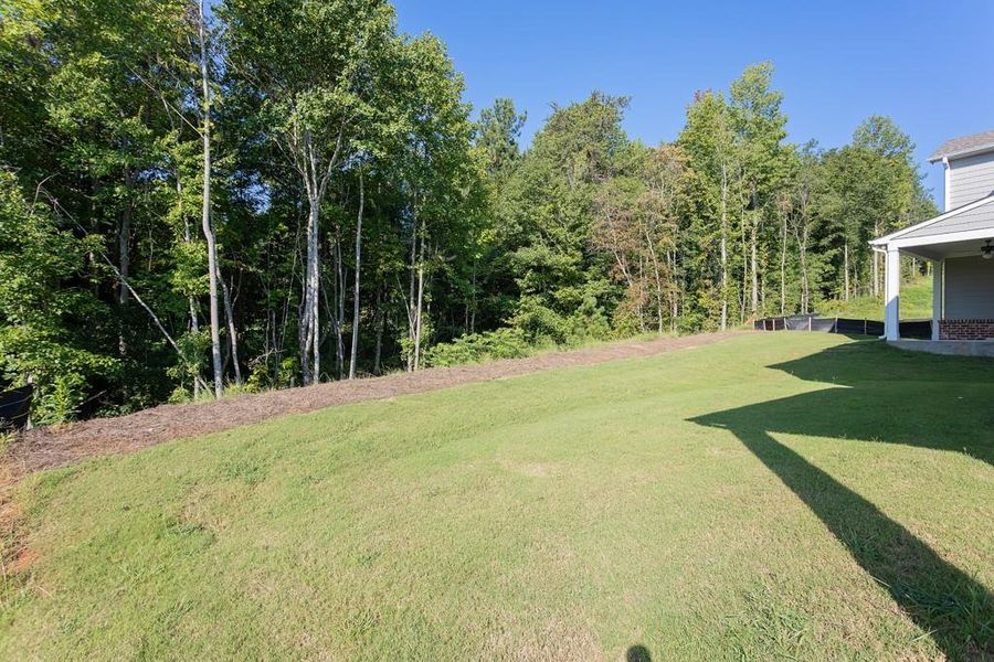 Natural landscape and outdoor views near in Buford (Image 39). Natural landscape and outdoor views near in Buford (Image 39).