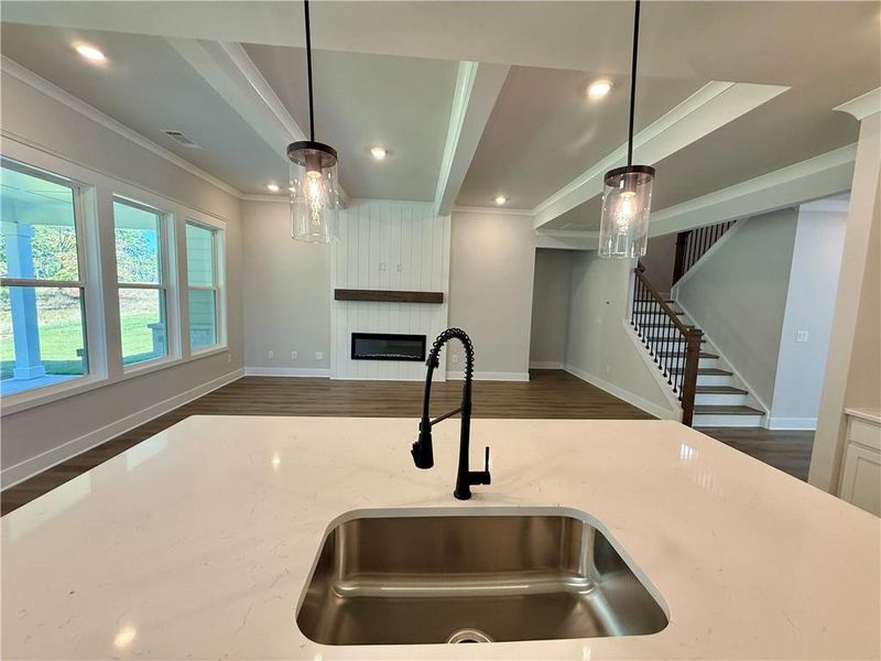Close-up of interior finishes inside a home in Fowler Farms, Auburn (Image 18).