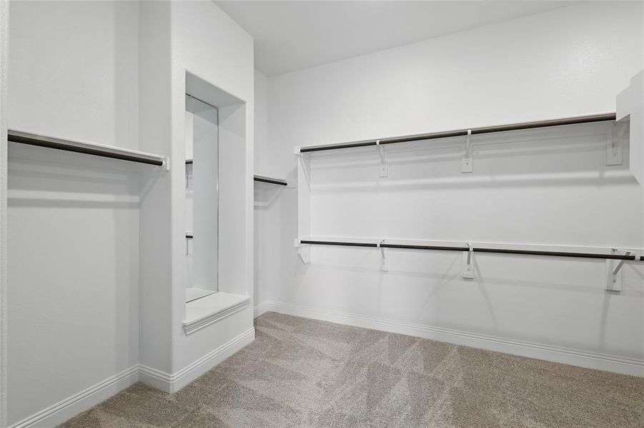 Walk in closet with carpet