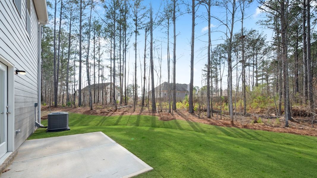 Representative exterior details of a home built from the Somerset by D.R. Horton in Oakchase at Hampton, Hampton (Image 2).