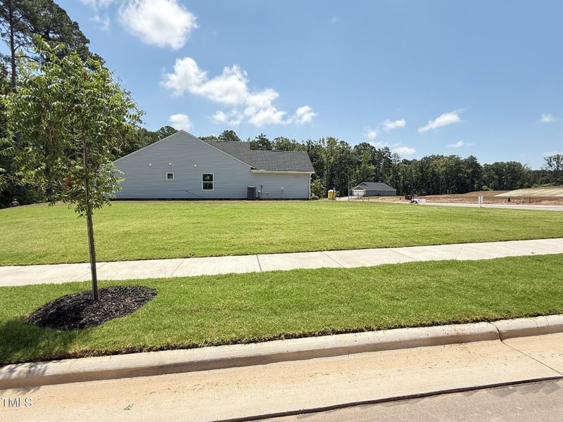 tempImageCxFZTb tempImageCxFZTb