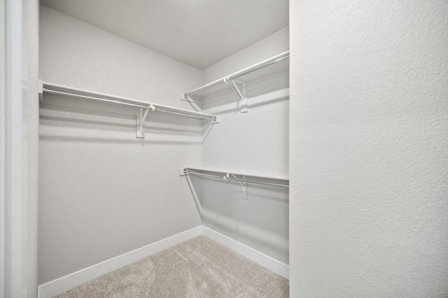 Spacious, unfurnished interior of a new home in Pony Park, Colorado Springs (Image 20).