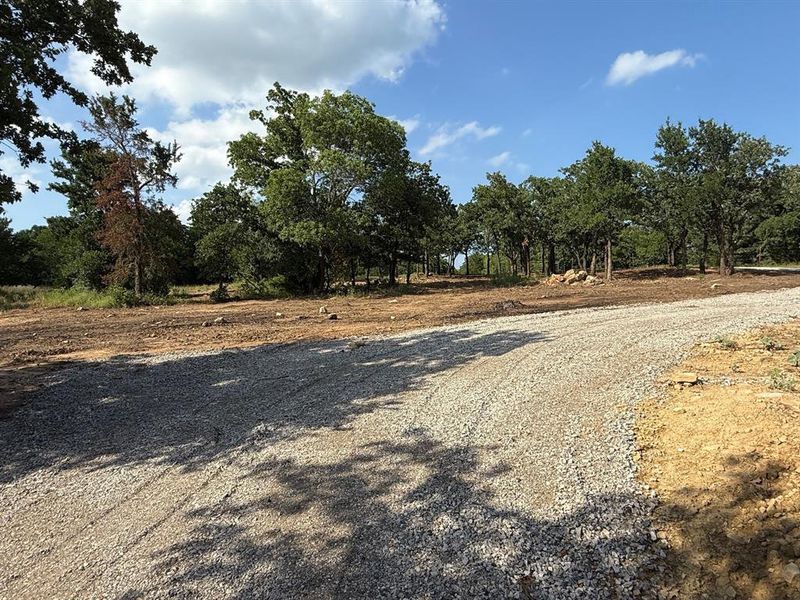 Gravel driveway leading to a treed lot with varied topography and natural rock formations Gravel driveway leading to a treed lot with varied topography and natural rock formations