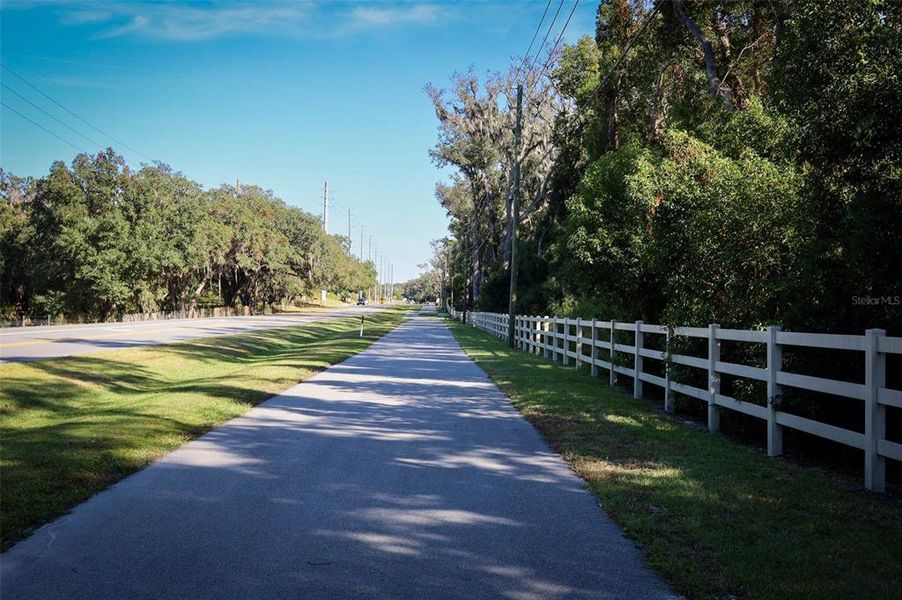 Natural landscape and outdoor views near in Ocoee (Image 39). Natural landscape and outdoor views near in Ocoee (Image 39).