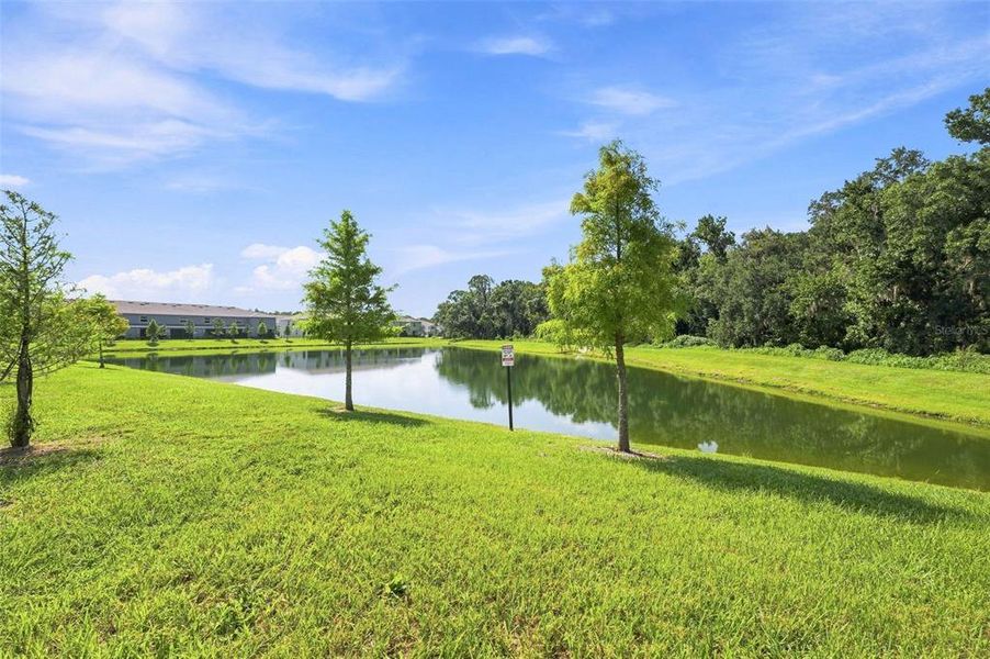 Natural landscape and outdoor views near  in Wesley Chapel (Image 29).