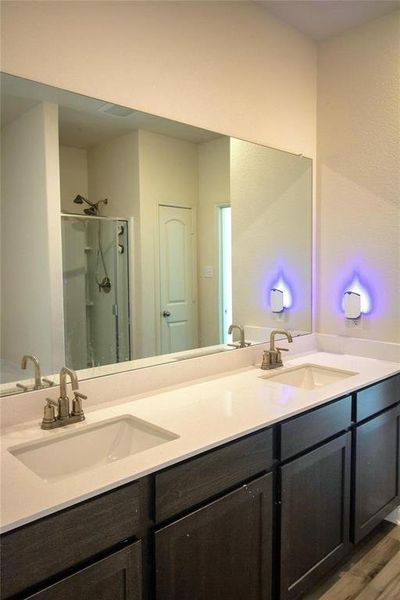Bathroom with double vanity, a stall shower, and wood finished floors