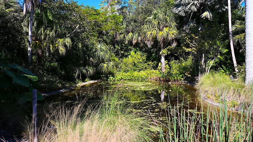 Natural landscape and outdoor views near Veranda Oaks in Port St. Lucie (Image 70).
