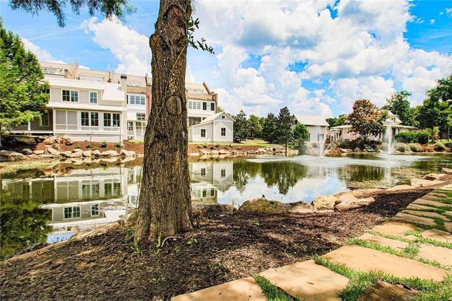 Natural landscape and outdoor views near  in Senoia (Image 10).