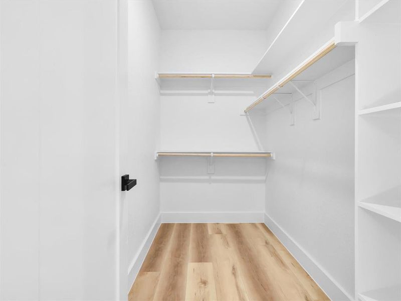 Spacious closet featuring light hardwood / wood-style floors