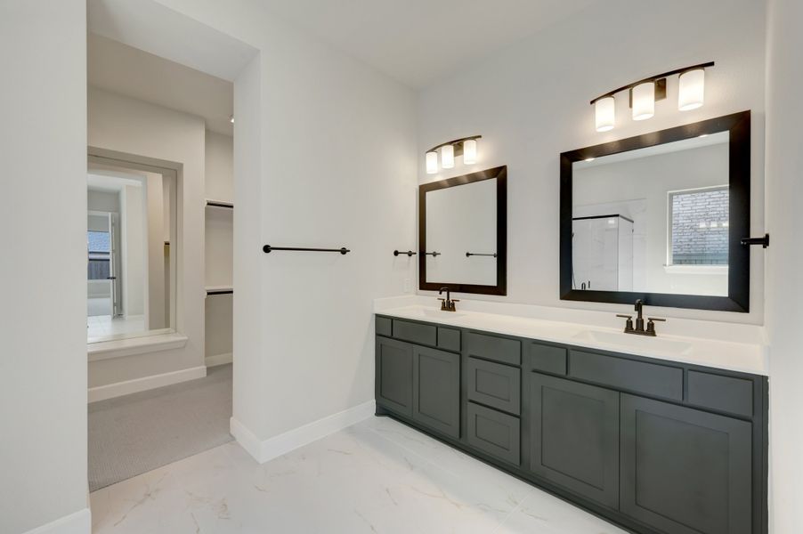Owner's Bath