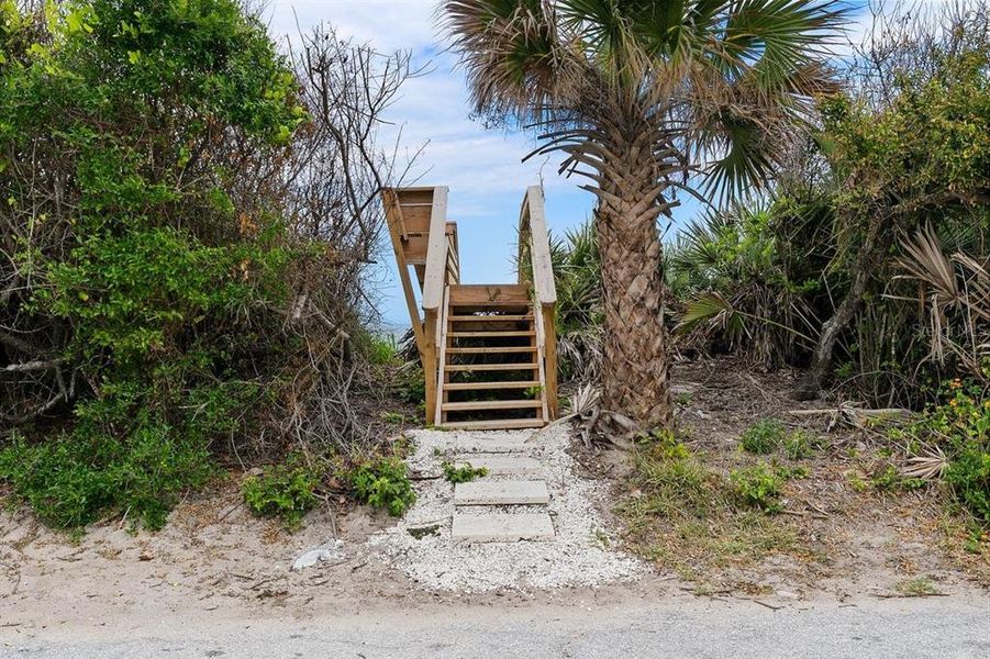 Natural landscape and outdoor views near  in New Smyrna Beach (Image 67).