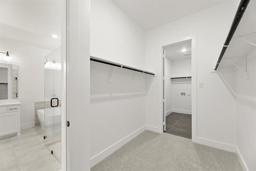 18. 4120 Selborne - Closet