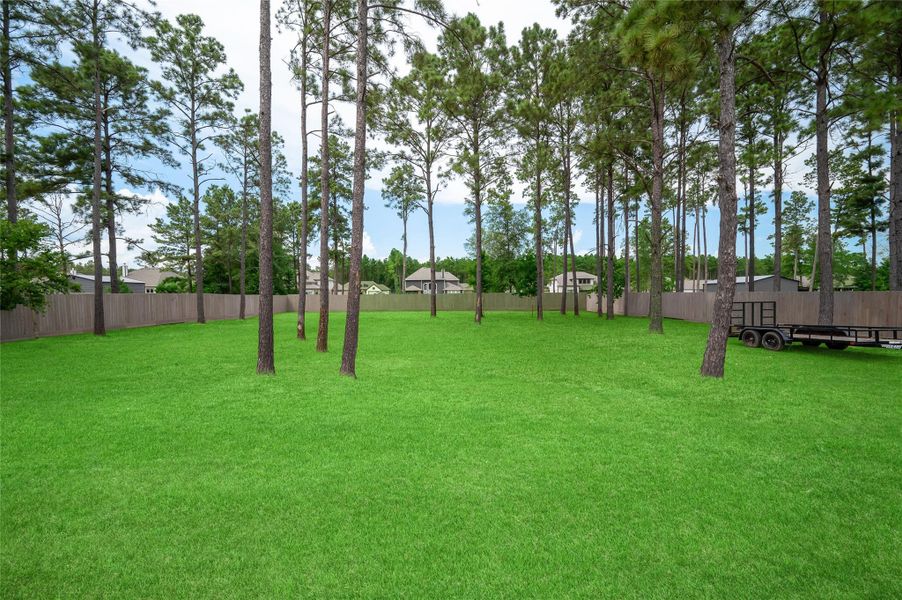Spacious backyard with several mature trees that is fully fenced.
