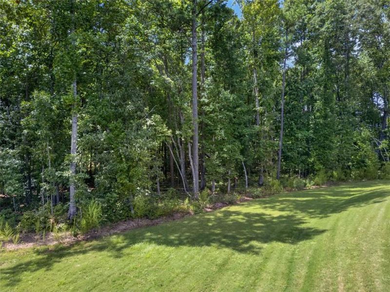 Natural landscape and outdoor views near  in Winston (Image 28).