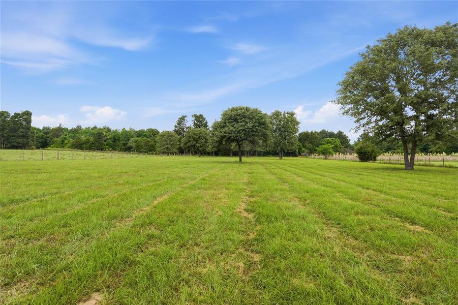 Expansive green acreage featuring a scattered tree line, mature trees, and a perimeter fence