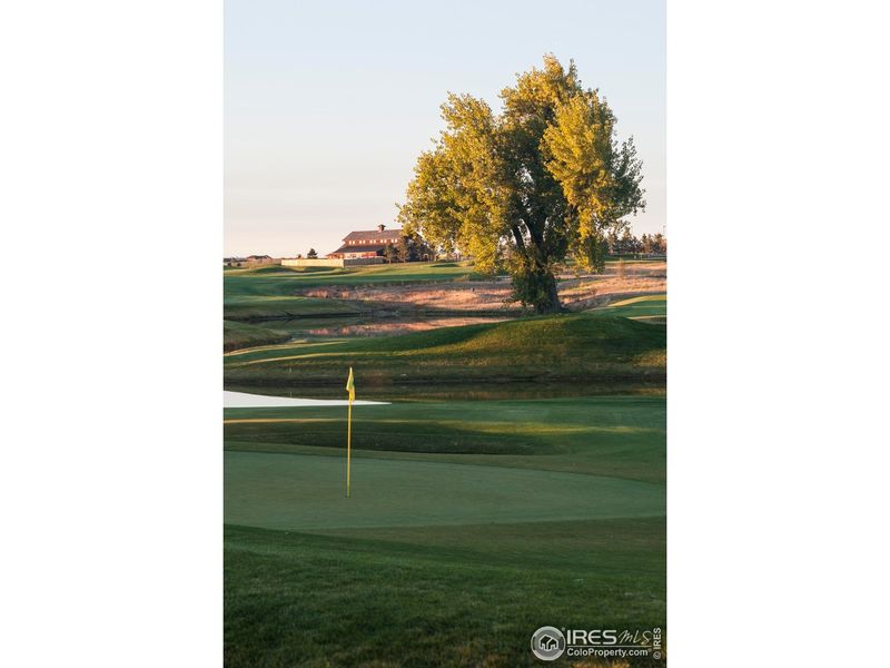 Natural landscape and outdoor views near Vernazza in Windsor (Image 26).