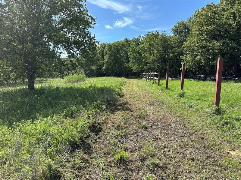 Grassed pathway bordered by mature trees and a partial wooden fence Grassed pathway bordered by mature trees and a partial wooden fence
