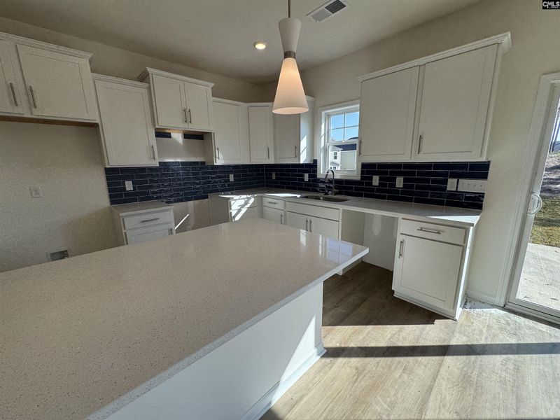 Furnished interior view inside a new home in Boykin Hills, Chapin (Image 2).