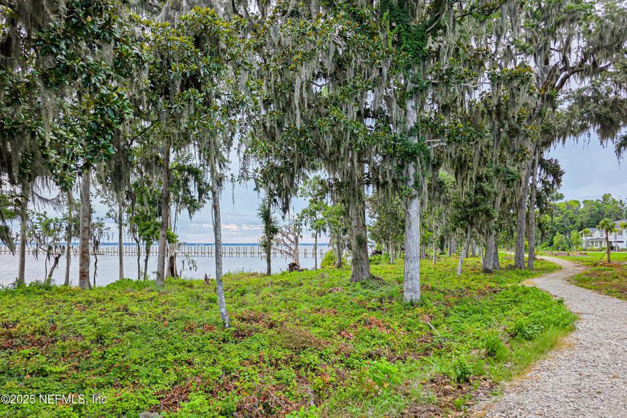 Natural landscape and outdoor views near  in St. Johns (Image 52).