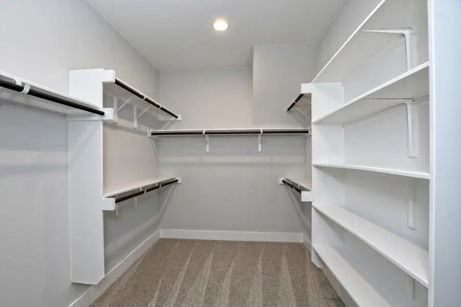 Walk in closet featuring carpet flooring