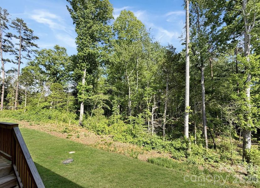 Natural landscape and outdoor views near Brownstone Ridge in Mooresville (Image 22).