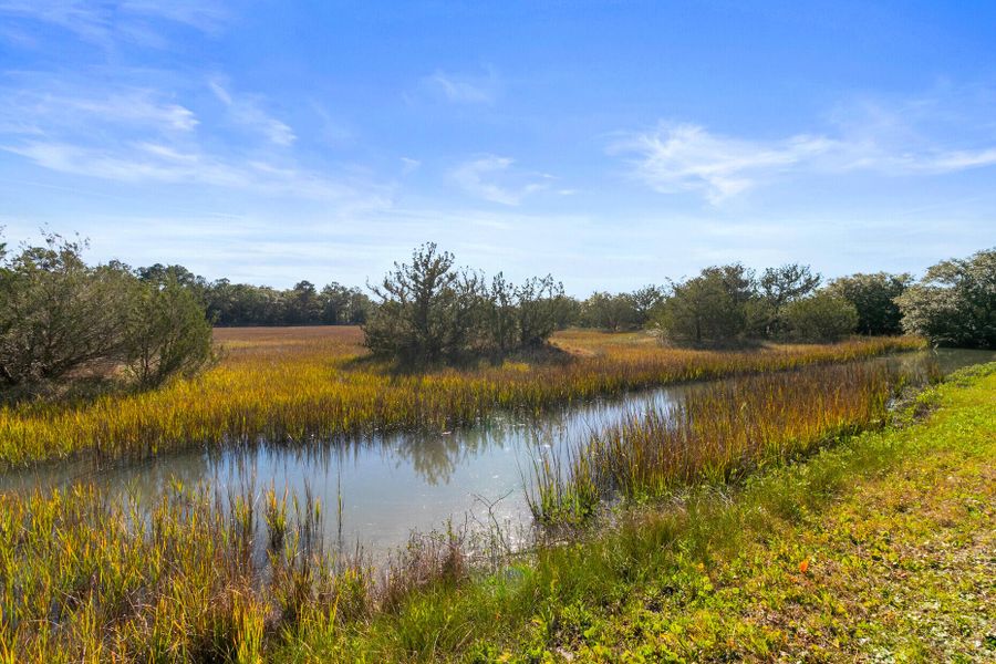 Natural landscape and outdoor views near in Charleston (Image 24). Natural landscape and outdoor views near in Charleston (Image 24).