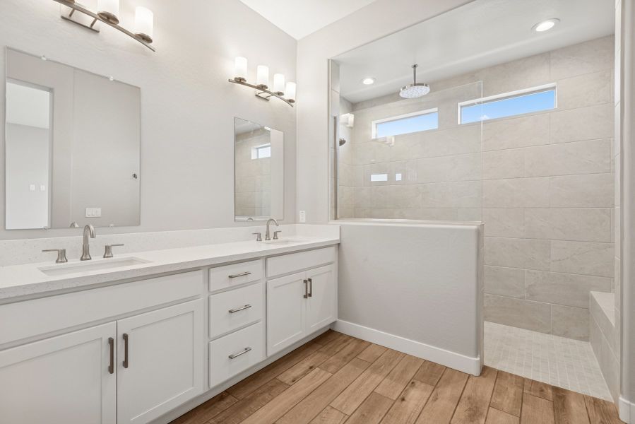 Owner's Bath