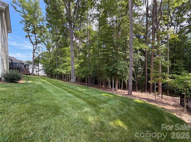 Natural landscape and outdoor views near  in Landis (Image 21).