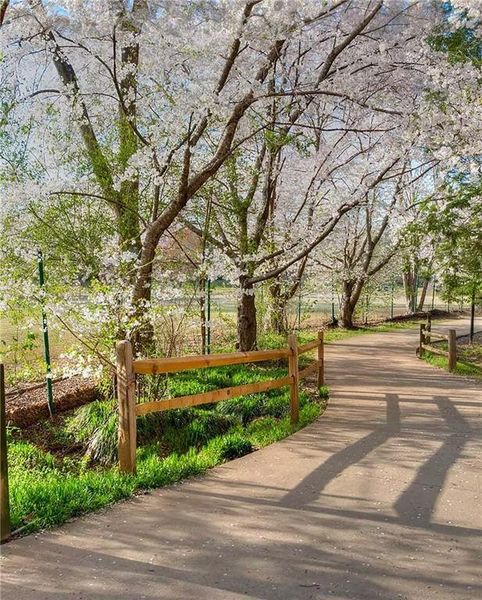 Natural landscape and outdoor views near  in Atlanta (Image 8).