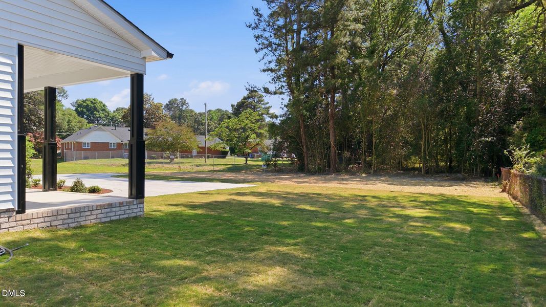 Side Yard