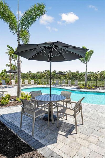 Community amenities in Skye Ranch Community Group Page, Sarasota (Image 27).