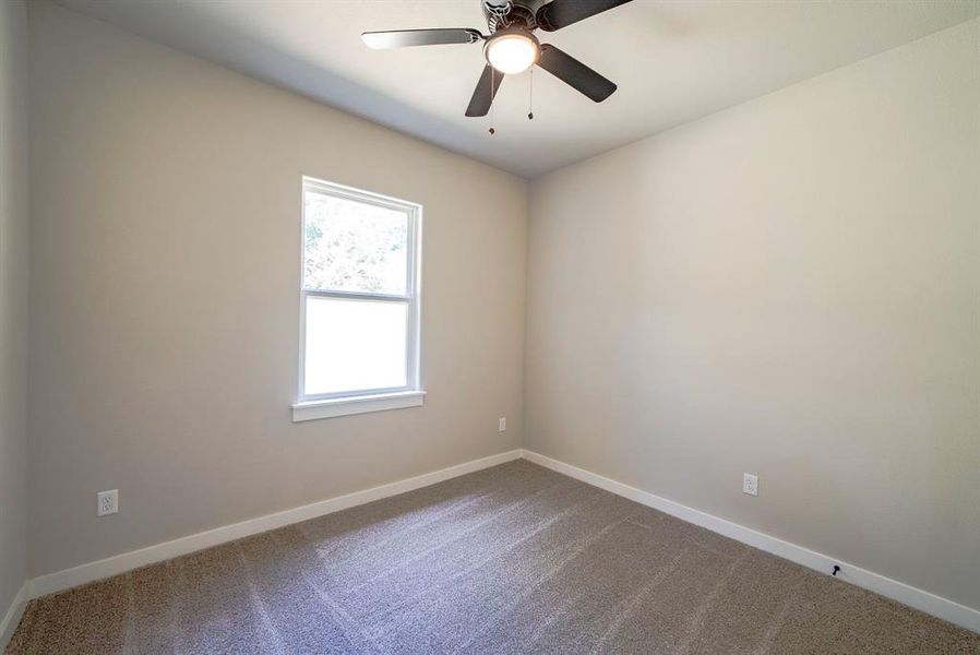 Empty room featuring ceiling fan, a wealth of natural light, and carpet flooring