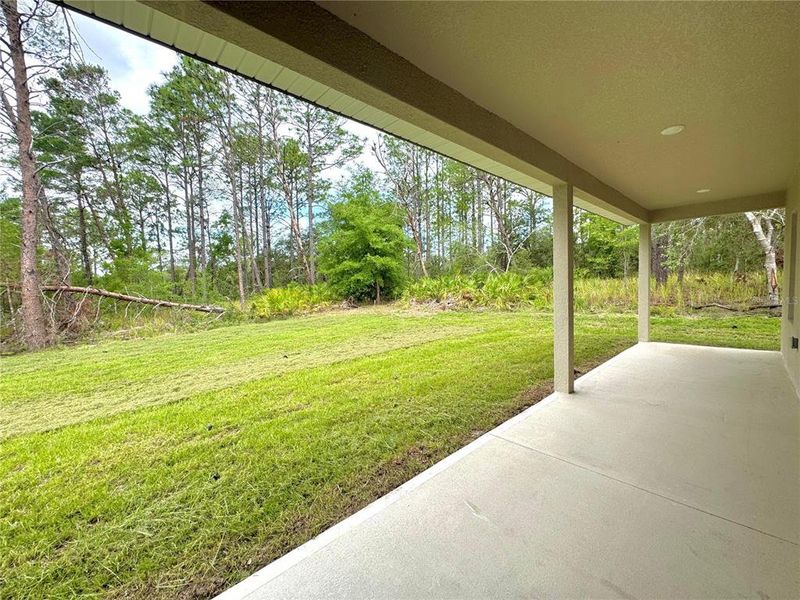 Exterior details and patio area of a home in , Citrus Springs (Image 22).
