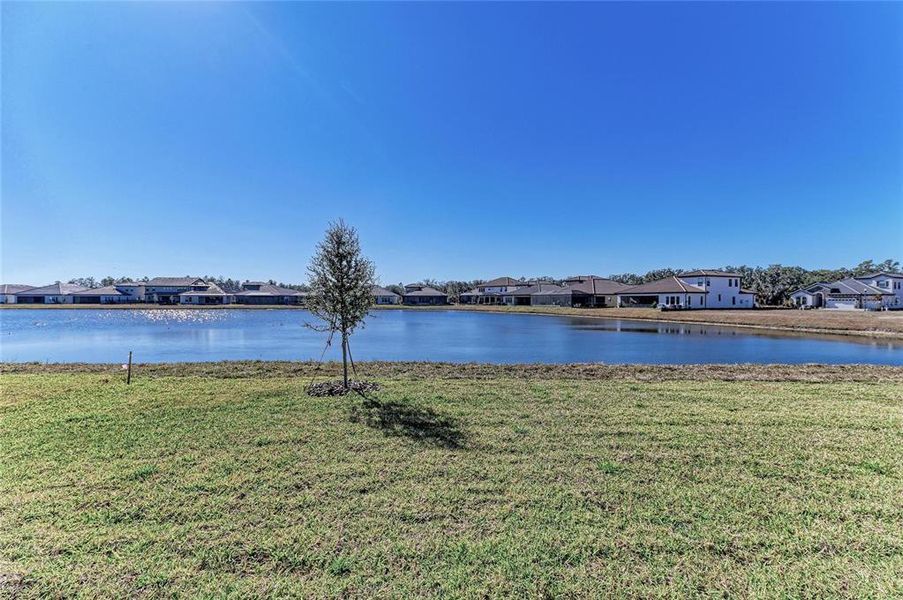Natural landscape and outdoor views near Hawkstone in Lithia (Image 33).