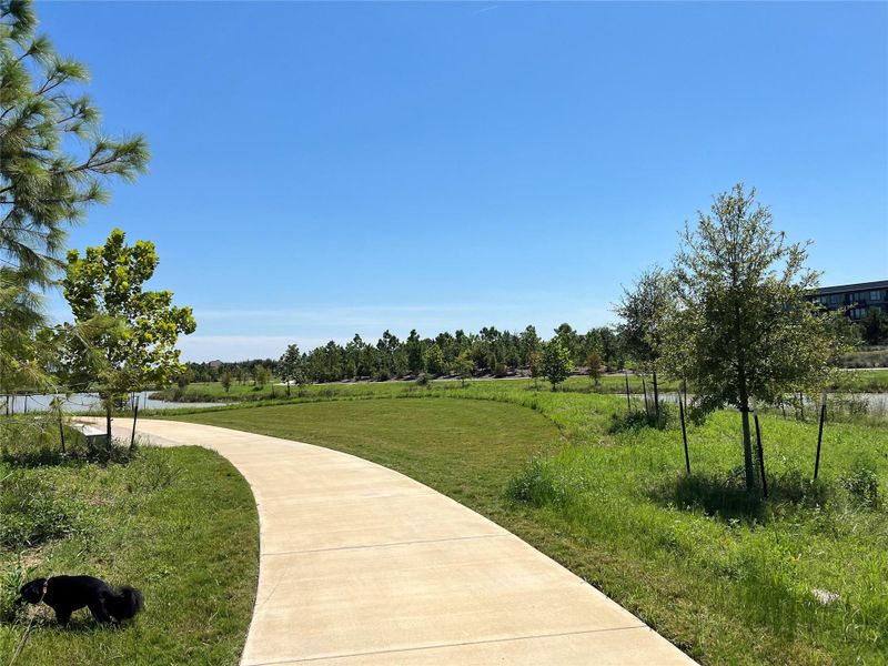 Natural landscape and outdoor views near  in Cypress (Image 10).