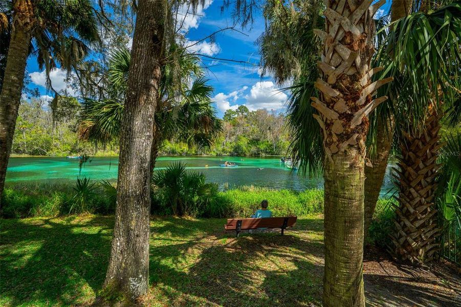 Natural landscape and outdoor views near Grand Park North in Dunnellon (Image 78).