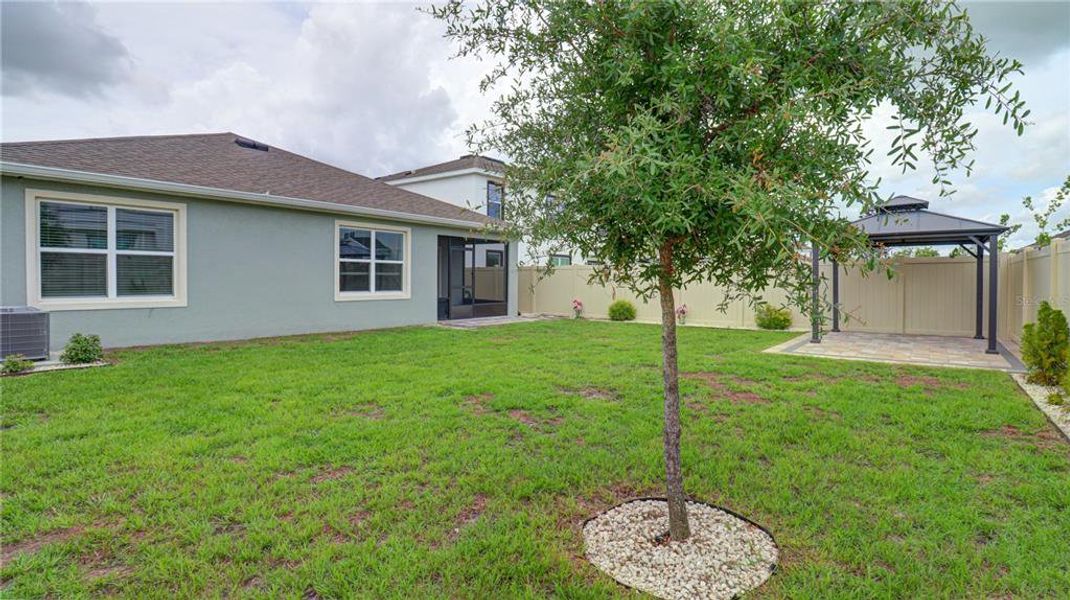 Exterior details and patio area of a home in Epperson, Wesley Chapel (Image 13).
