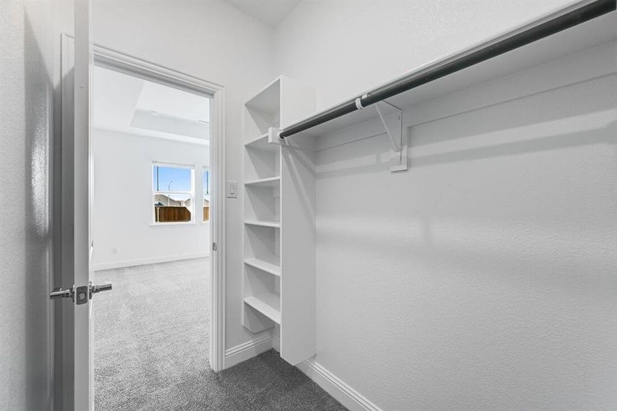 1409 Zapateado Way 1409 Zapateado Way