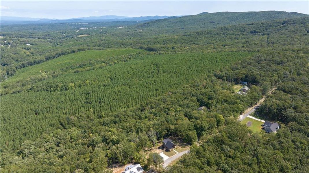 Image 31 of a home in .