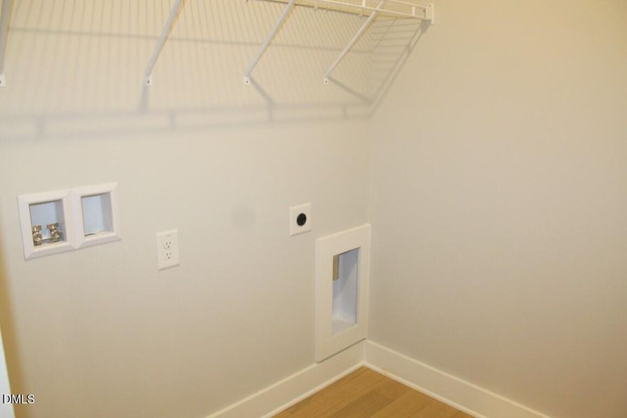 IMG_7441 (Medium) IMG_7441 (Medium)