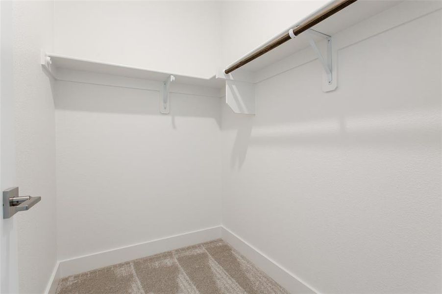 Walk in closet with carpet