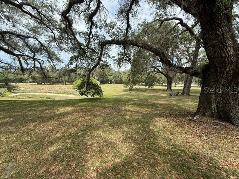 Natural landscape and outdoor views near in Dunnellon (Image 31). Natural landscape and outdoor views near in Dunnellon (Image 31).