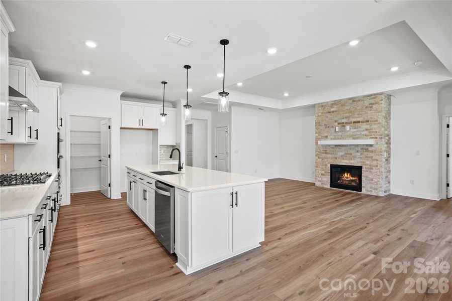 Furnished interior view inside a new home in Carolina Riverside, Belmont (Image 5).