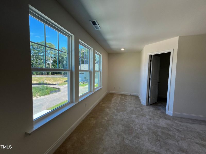 Large back widows for Primary Suite